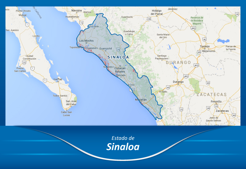 Autolineas de la Ciudad de México a Sinaloa